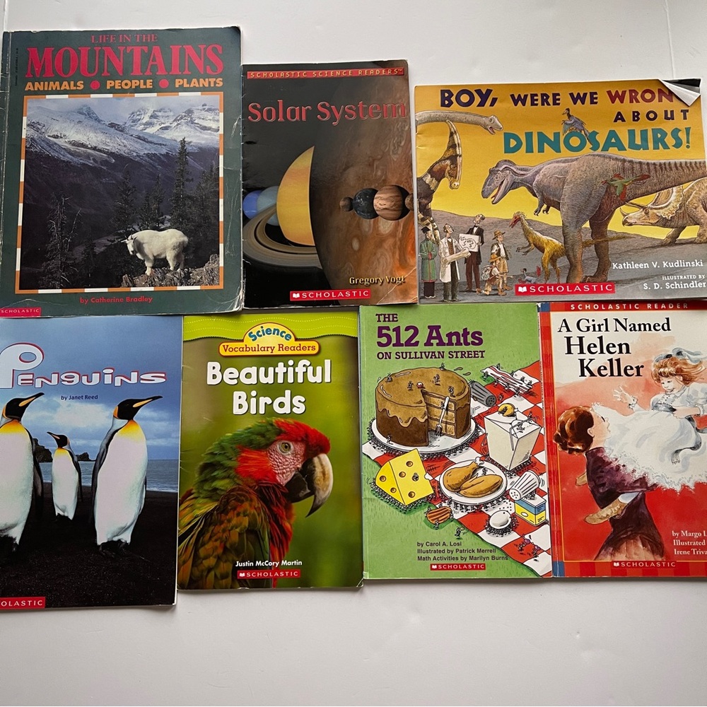 Scholastic book bundle of 7